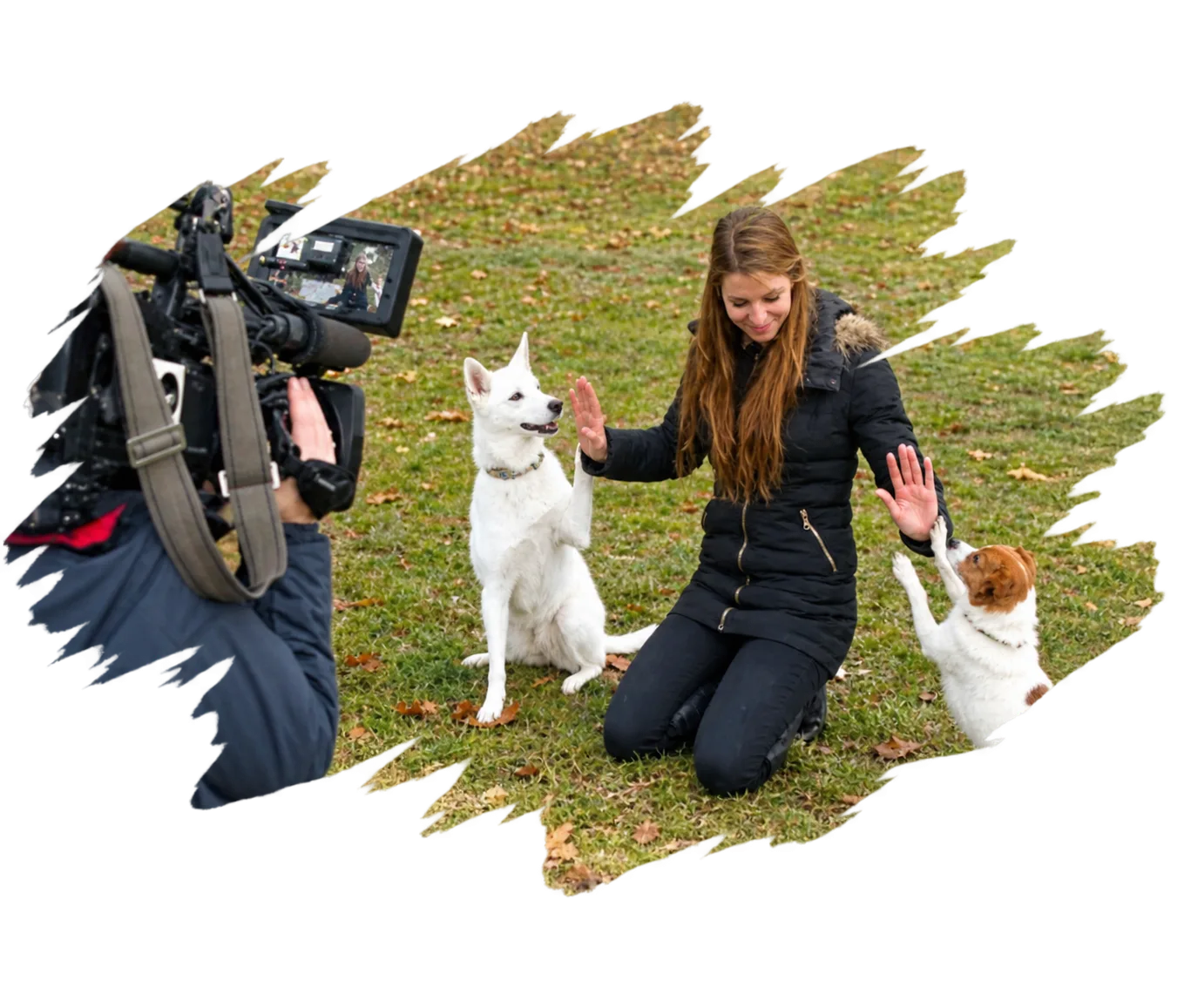 Svenja Wiechert – Hundetrainerin / Verhaltensberaterin / Coach
